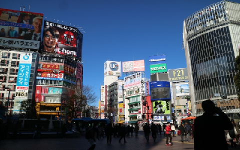 渋谷 とぅる